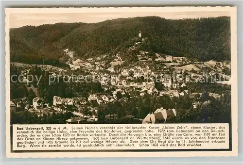AK / Ansichtskarte Bad_Liebenzell Panorama Bad_Liebenzell