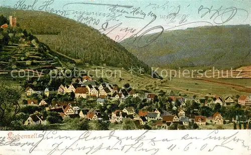 AK / Ansichtskarte Bad_Liebenzell Teilansicht mit Burg Nagoldtal Kurort im Schwarzwald Bad_Liebenzell