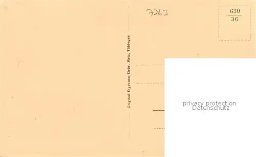 AK / Ansichtskarte Bad_Liebenzell Stadtpanorama mit Blick zur Burg Kurort im Schwarzwald Bad_Liebenzell