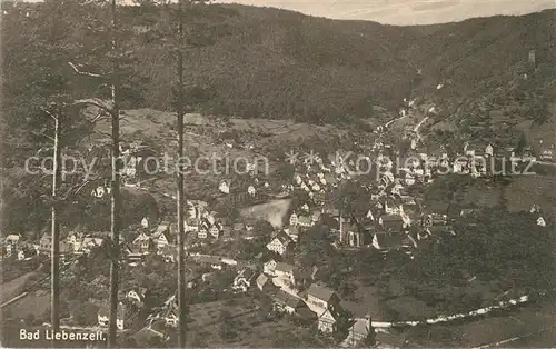 AK / Ansichtskarte Bad_Liebenzell Panorama mit Blick zur Burg Kurort im Schwarzwald Bad_Liebenzell