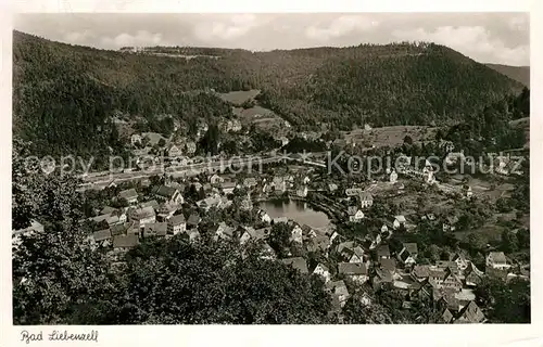 AK / Ansichtskarte Bad_Liebenzell Panorama Kurort im Schwarzwald Bad_Liebenzell