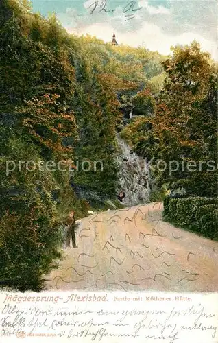 AK / Ansichtskarte Maegdesprung Alexisbad Partie mit Koethener Huette Maegdesprung