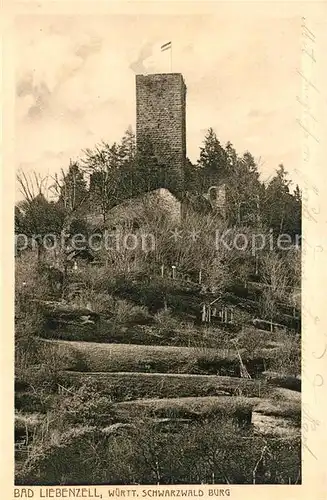 AK / Ansichtskarte Bad_Liebenzell Schwarzwald Burg Bad_Liebenzell