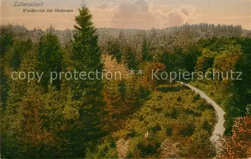 AK / Ansichtskarte Luedenscheid Waldpartie bei Hellersen Luedenscheid