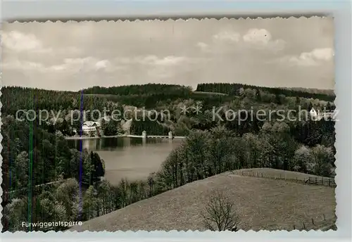 AK / Ansichtskarte Fuerwiggetalsperre  Fuerwiggetalsperre