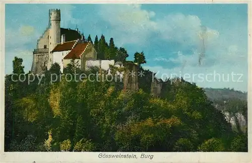 AK / Ansichtskarte Goessweinstein Burg Goessweinstein