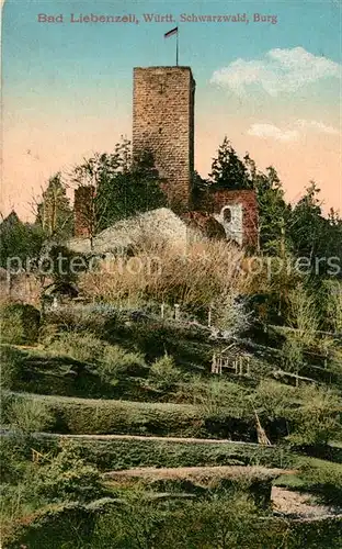 AK / Ansichtskarte Liebenzell_Bad Burgruine Liebenzell_Bad