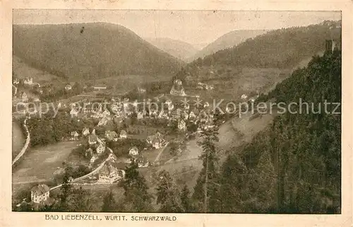 AK / Ansichtskarte Liebenzell_Bad Panorama Liebenzell_Bad