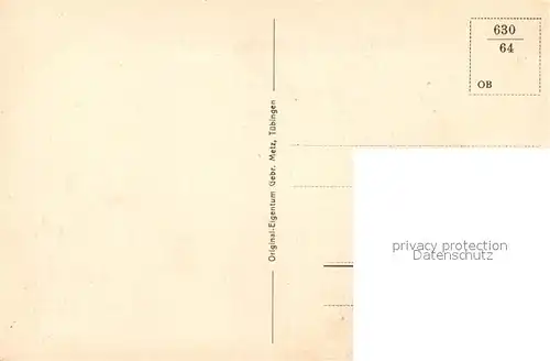 AK / Ansichtskarte Liebenzell_Bad Burgruine Liebenzell_Bad