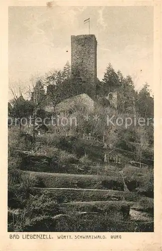AK / Ansichtskarte Liebenzell_Bad Burgruine Liebenzell_Bad