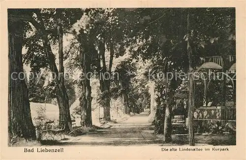 AK / Ansichtskarte Liebenzell_Bad Lindenallee Kurpark Liebenzell_Bad
