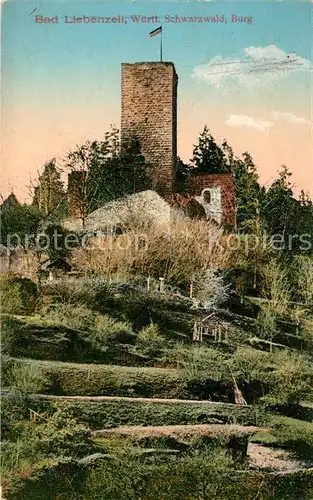 AK / Ansichtskarte Liebenzell_Bad Burgruine Liebenzell_Bad