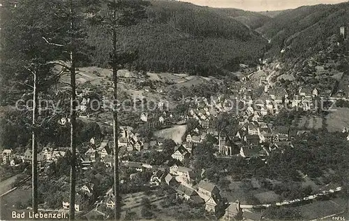 AK / Ansichtskarte Liebenzell_Bad Panorama  Liebenzell_Bad