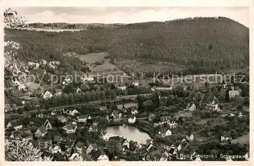 AK / Ansichtskarte Liebenzell_Bad Panorama See  Liebenzell_Bad