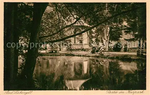 AK / Ansichtskarte Liebenzell_Bad Kurpark Liebenzell_Bad