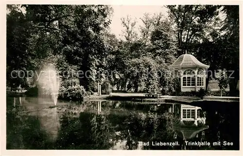 AK / Ansichtskarte Liebenzell_Bad Trinkhalle mit See Liebenzell_Bad