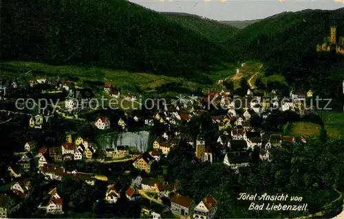 AK / Ansichtskarte Liebenzell_Bad Panorama Liebenzell_Bad