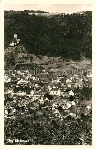AK / Ansichtskarte Liebenzell_Bad Burgruine Liebenzell_Bad