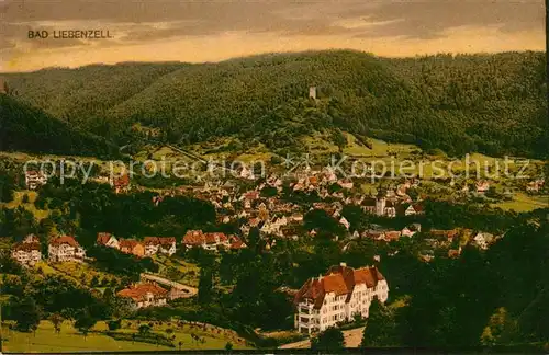 AK / Ansichtskarte Liebenzell_Bad Panorama  Liebenzell_Bad