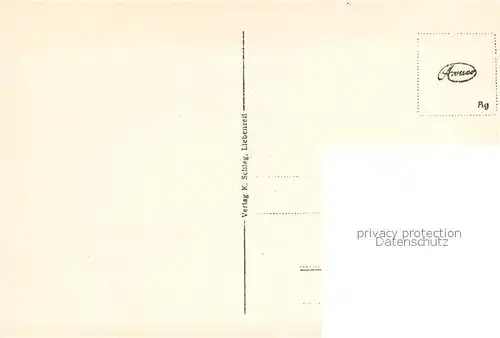 AK / Ansichtskarte Liebenzell_Bad Panorama Burg Kirche Liebenzell_Bad