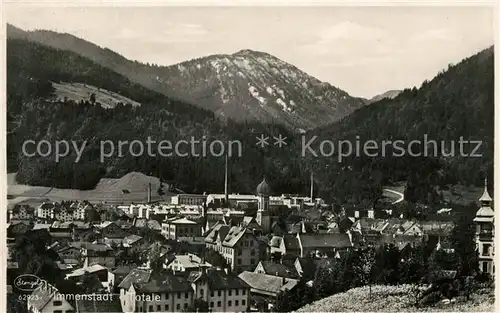 AK / Ansichtskarte Immenstadt_Allgaeu Panorama Immenstadt_Allgaeu