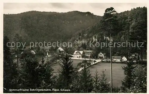 AK / Ansichtskarte Behringersmuehle Panorama Behringersmuehle