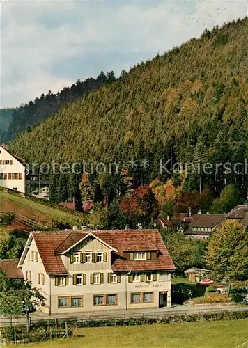 AK / Ansichtskarte Sch&#246;nm&#252;nzach Pension Frey