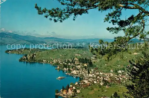 AK / Ansichtskarte Weggis_Vierwaldstaettersee Hertenstein / Weggis_Vierwaldstaettersee