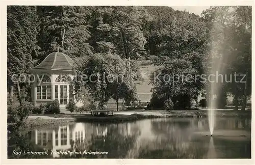 AK / Ansichtskarte Bad_Liebenzell Trinkhalle mit See Bad_Liebenzell