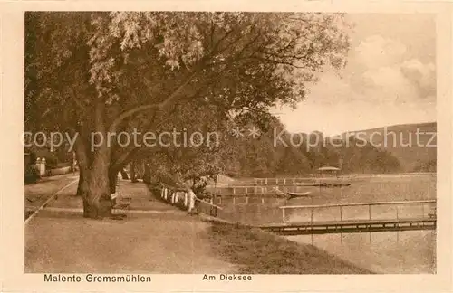 AK / Ansichtskarte Malente Gremsmuehlen Dieksee Allee Malente Gremsmuehlen