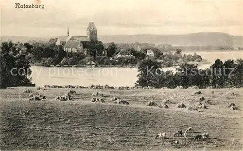 AK / Ansichtskarte Ratzeburg Panorama  Ratzeburg