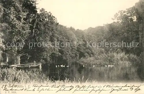 AK / Ansichtskarte Moelln_Lauenburg See Moelln_Lauenburg