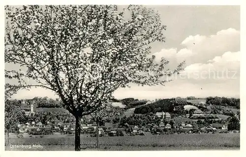 AK / Ansichtskarte Ortenburg Panorama Ortenburg