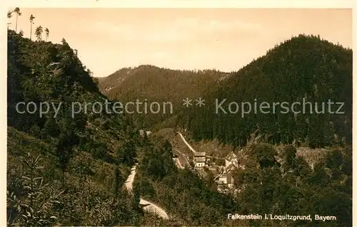 AK / Ansichtskarte Falkenstein_Ludwigsstadt Panorama Loquitzgrund Falkenstein_Ludwigsstadt