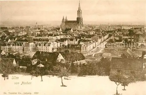 AK / Ansichtskarte Ulm_Donau Stadtblick mit Muenster Ulm_Donau
