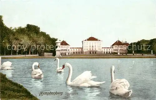 AK / Ansichtskarte Muenchen Nymphenburg Schlosspark Schwanenteich Muenchen