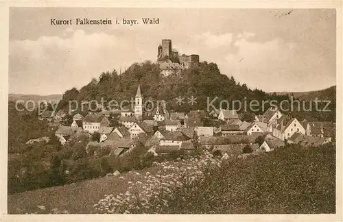 AK / Ansichtskarte Falkenstein_Pfalz Panorama Burg Falkenstein_Pfalz