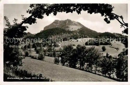 AK / Ansichtskarte Elbach_Miesbach Breitenstein Elbach Miesbach