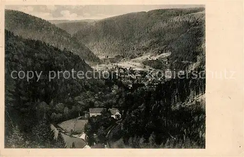 AK / Ansichtskarte Bad_Liebenzell Panorama Bad_Liebenzell
