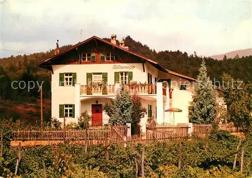 AK / Ansichtskarte Prissian_Prissiano Gaestehaus Felsenegg Prissian Prissiano