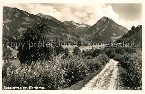 AK / Ansichtskarte Fischen_Allgaeu Spazierweg am Illerdamm Landschaftspanorama Allgaeuer Alpen Fischen Allgaeu
