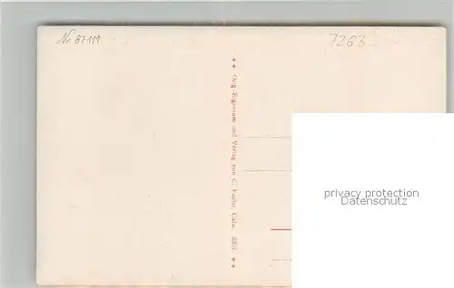 AK / Ansichtskarte Bad_Liebenzell Partie in den Kuranlagen Fontaene Bad_Liebenzell