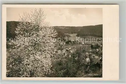 AK / Ansichtskarte Bad_Liebenzell Baumbluete Liebenzeller Mission Landschaftspanorama Bad_Liebenzell