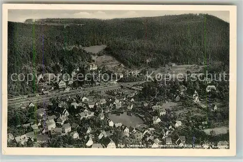 AK / Ansichtskarte Bad_Liebenzell Panorama Blick von der Burg Kurort im Schwarzwald Bad_Liebenzell