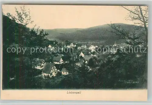 AK / Ansichtskarte Bad_Liebenzell Panorama Kurort im Schwarzwald Bad_Liebenzell