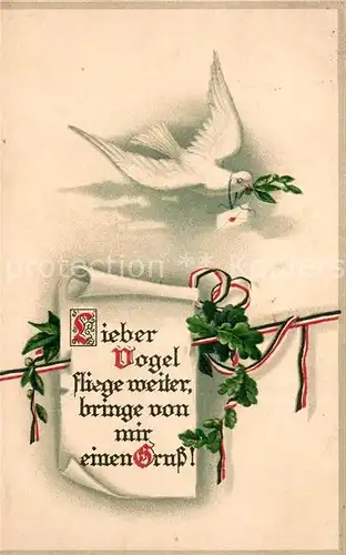 AK / Ansichtskarte Schwarz_Weiss_Rot Brieftaube Litho  Schwarz_Weiss_Rot