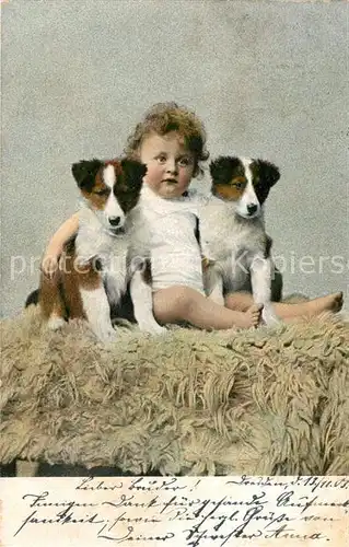 AK / Ansichtskarte Hunde Welpen Kleinkind  Hunde