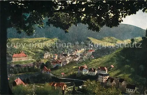 AK / Ansichtskarte Wildbad_Schwarzwald Blick von Norden Kuenstlerkarte Wildbad_Schwarzwald