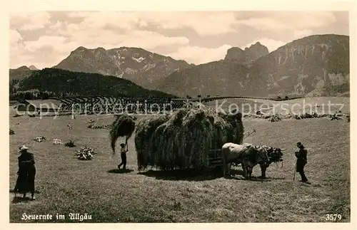 AK / Ansichtskarte Ernte_Landwirtschaft Heuernte Allgaeu Ernte_Landwirtschaft