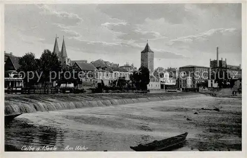 AK / Ansichtskarte Calbe_Saale Am Wehr Calbe_Saale